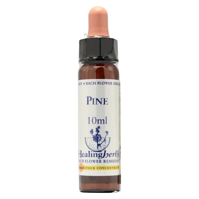 パイン10ml[Pine]