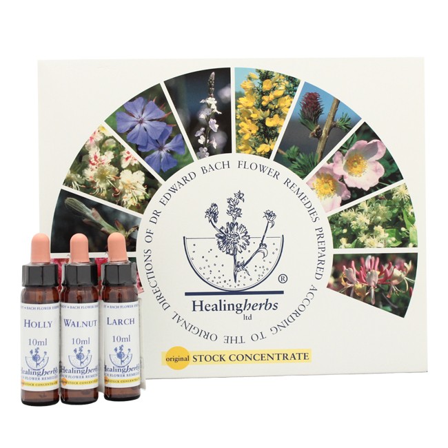 【即購入歓迎】エインズワース社　バッチフラワー　10ml 即購入歓迎】エインズワース社 バッチフラワー 10ml 即購入歓迎