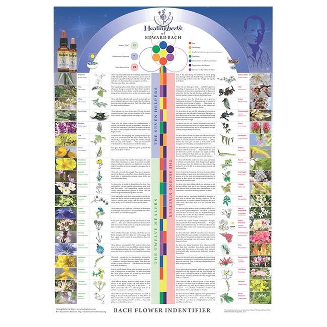 追加商品画像
