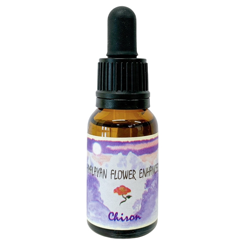 グラウンディンググリーン30ml[Grounding Green] | ブランド一覧,FES