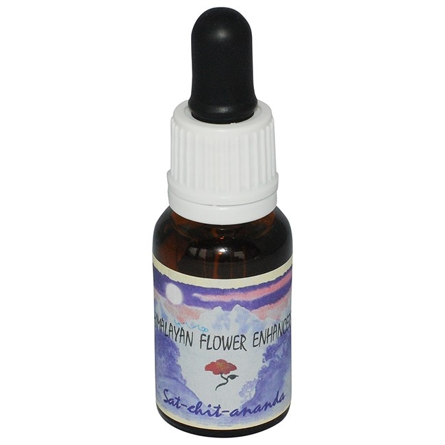 DNA クリアリング[DNA Clearing]#60 | ブランド一覧,アンジェリック