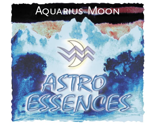 みずかめ座[Aquarius]『月』 | ブランド一覧,ヒマラヤンフラワー