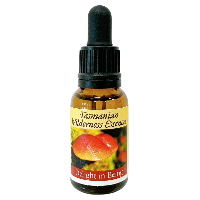 デライトインビーイング[Delight in Being]