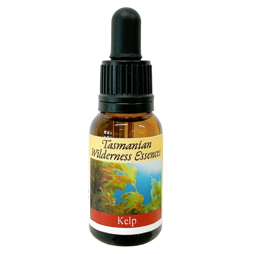 ケルプオブザグレートサザンオーシャン[Kelp of the Great Southern Ocean]