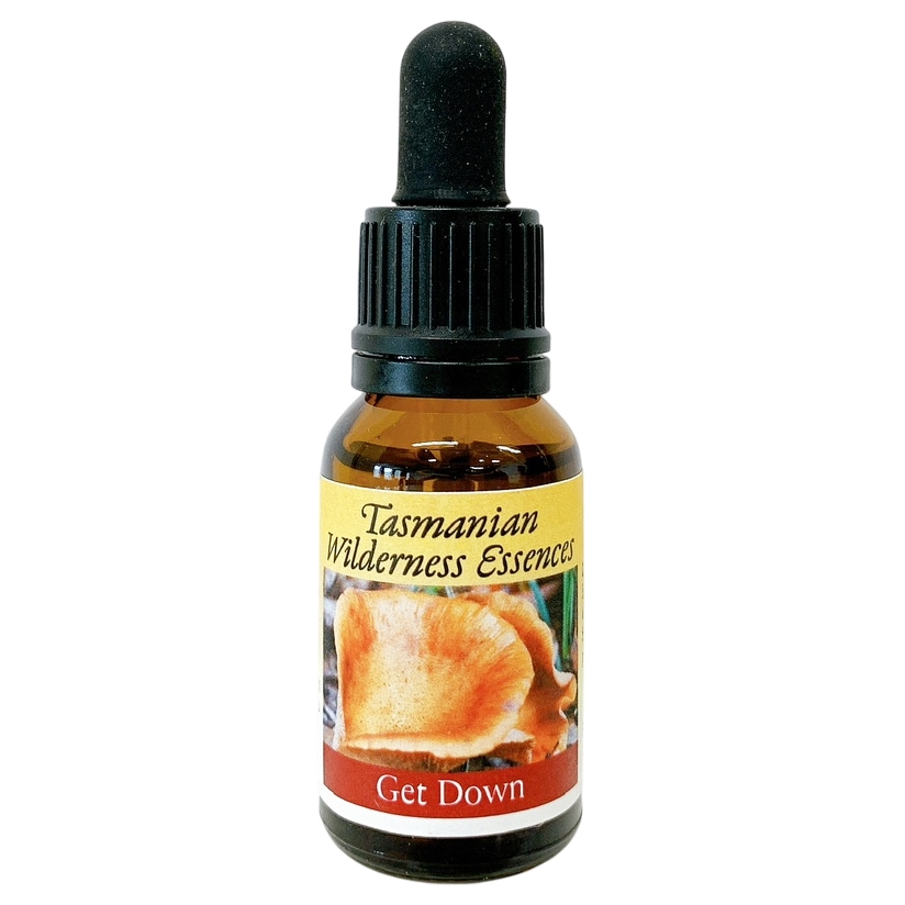 ウェルビーイング[Well Being](チャクラ:ハラ) | ブランド一覧