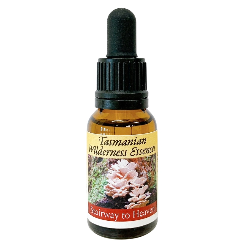 ステアウェイトゥヘブン[Stairway to Heaven]