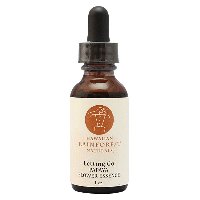 パパイヤ[Papaya]-手放す-