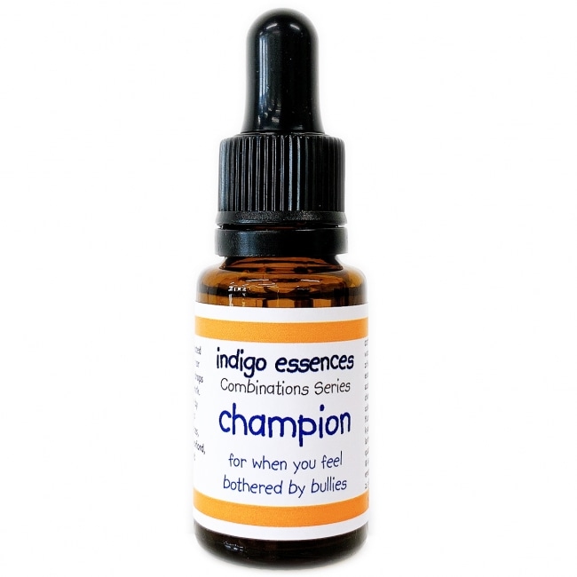 チャンピオン[Champion]