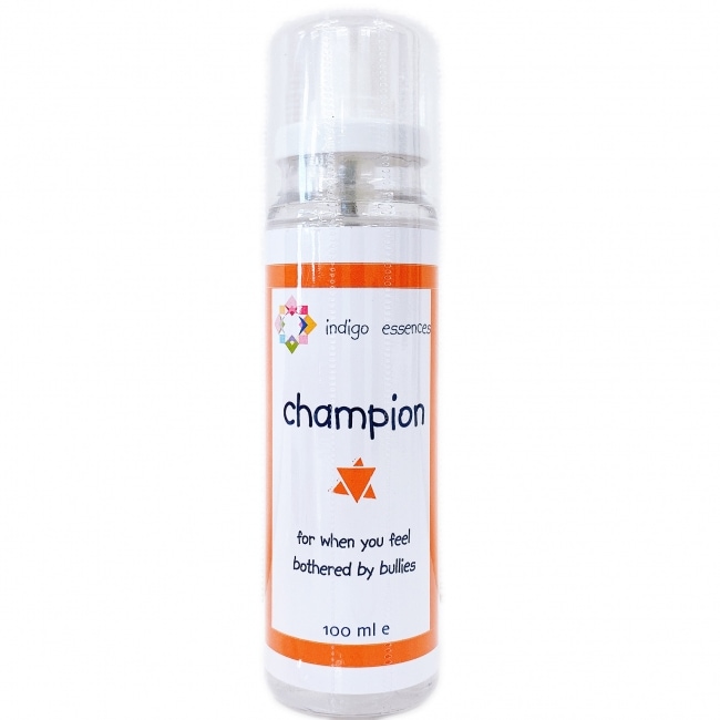 チャンピオンルームスプレー[Champion Spray]