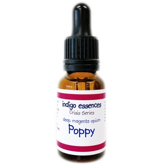 ディープマジェンタオピウムポピー[Deep Magenta Opium Poppy]