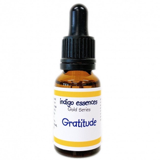 グラティチュード[Gratitude]