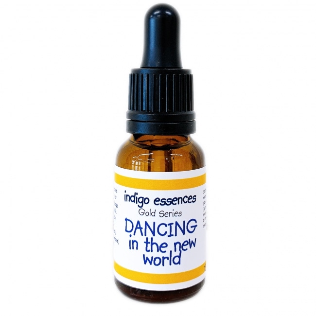 ダンシング イン ザ ニューワールド[DANCING in the new world]