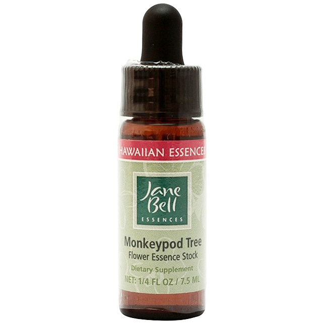 モンキーポッドツリー[Monkeypod Tree]