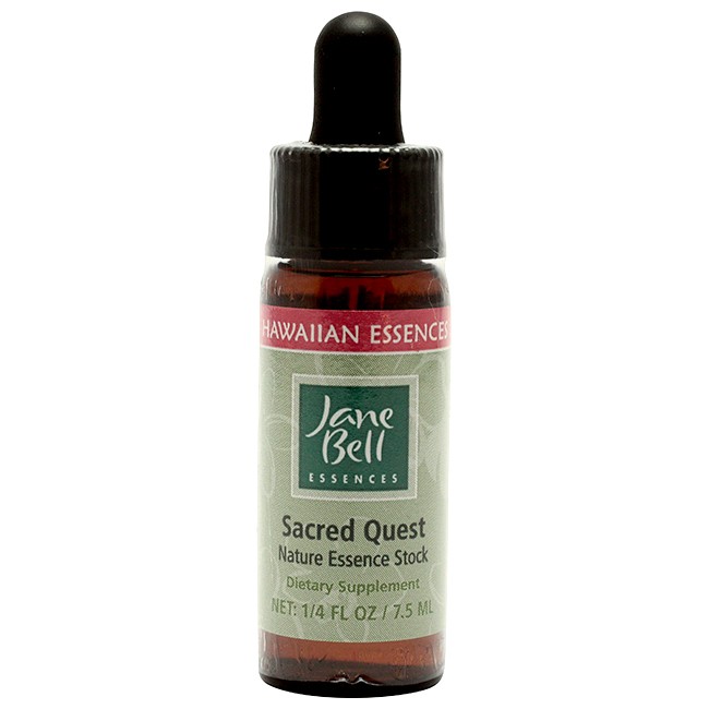 セイクレッドクエスト[Sacred Quest]