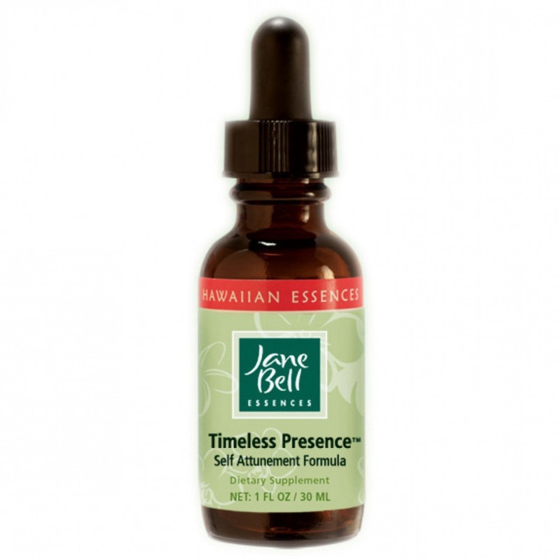 アバンダンスプログラムセット(日本語訳付) | ブランド一覧