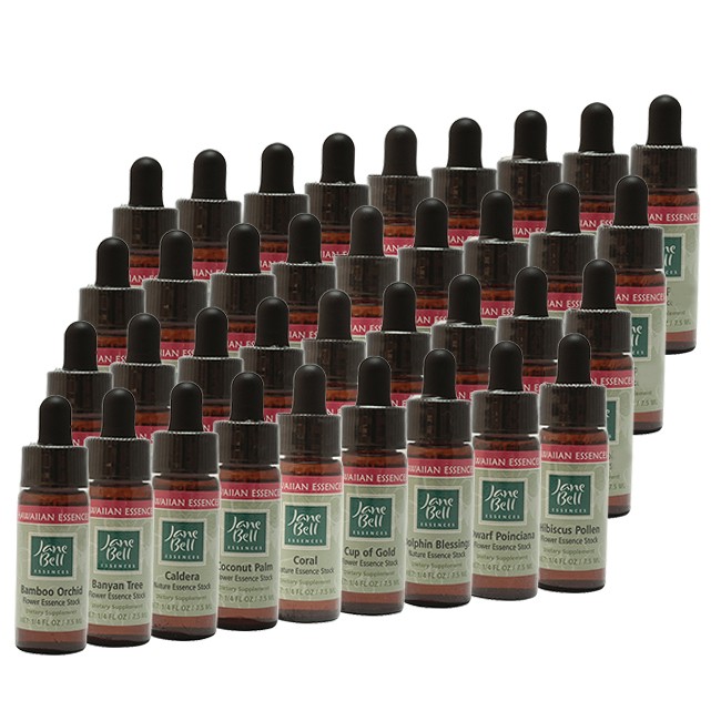 ジェーンベルハワイアンエッセンスフルキット(7.5ml)全36本