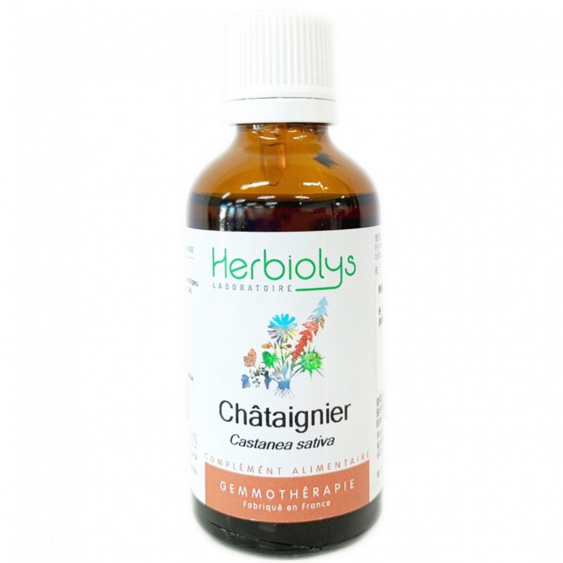 ヨーロッパグリ[Chataignier]