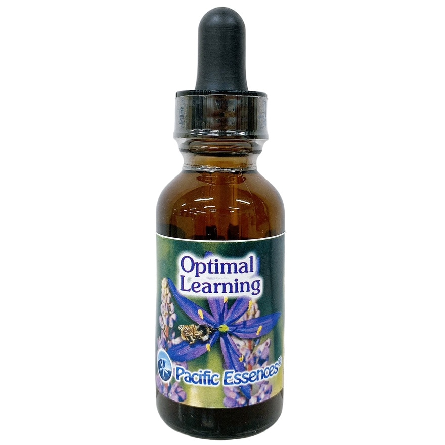 オプティマルラーニング[Optimal Learning]『学習能力を高める』