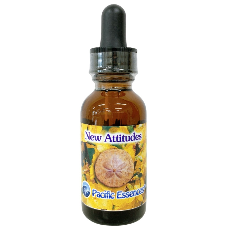 ニューアティテュード[New Attitude]『新たなる姿勢』