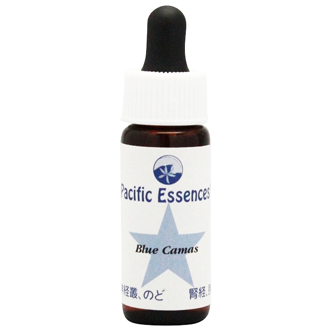 ブルーカマス[Blue Camas]