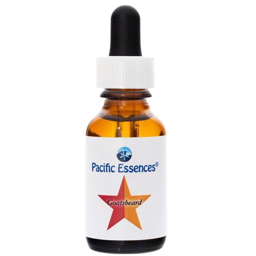 ゴーツベアード[Goatsbeard](30ml)