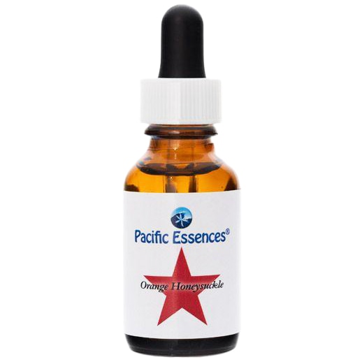 ポンデローサパイン[Ponderosa Pine] | ブランド一覧,パワーオブ