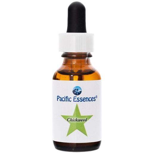 チックウィード[Chickweed](30ml)