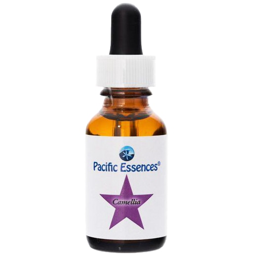 ソウルサポート[Soul Support](7.5ml) | ブランド一覧,アラスカン