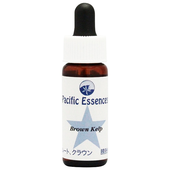 Blessings of Gaia Essence ～仙酔島 | ブランド一覧,ヒマラヤン