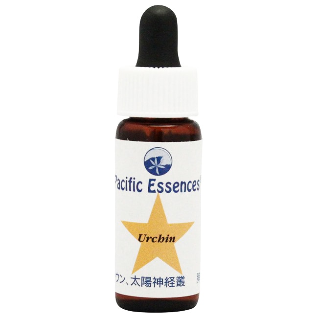 アーチン[Urchin]