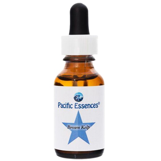 ブラウンケルプ[Brown Kelp](30ml)