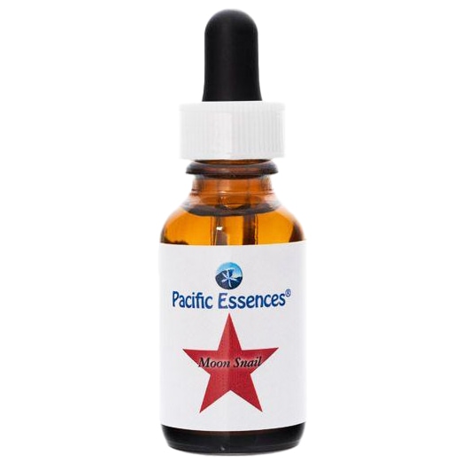 ムーンスネイル[Moonsnail](25ml)