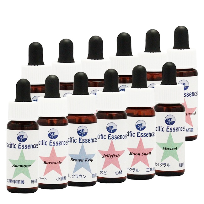 シーエッセンス キット4(シー経絡キット)全12本