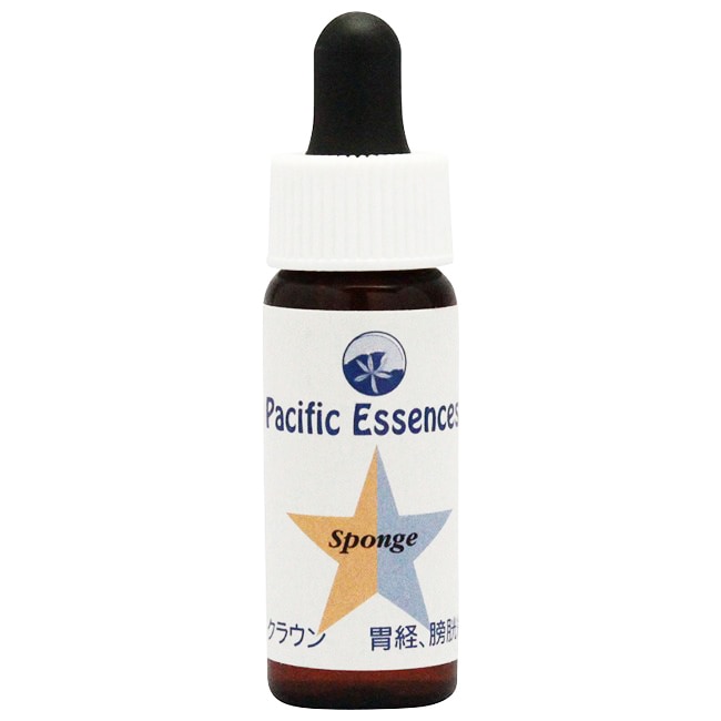 スポンジ[Sponge](7.5ml)