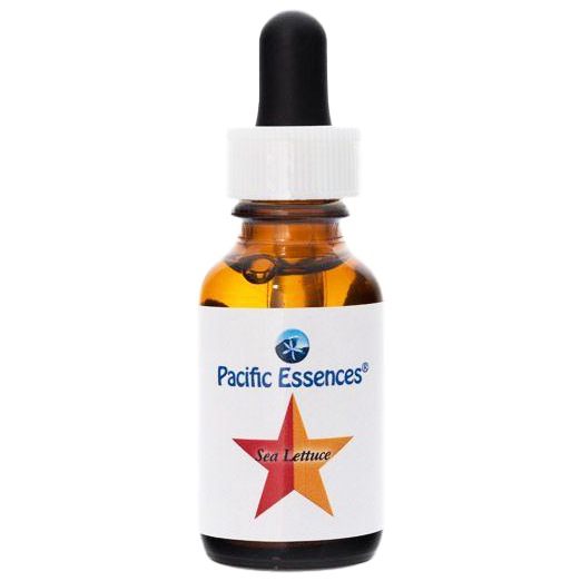シーレタス[Sea Lettuce](25ml)