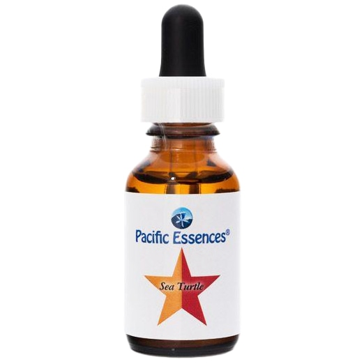 シータートル[Sea Turtle](30ml)