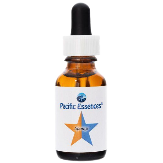 スポンジ[Sponge](30ml)