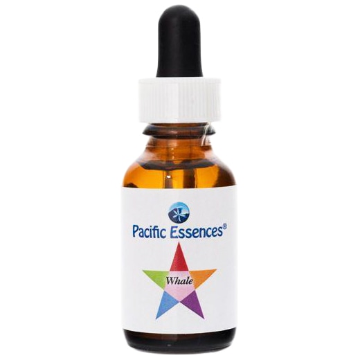 ホエール[Whale](30ml)