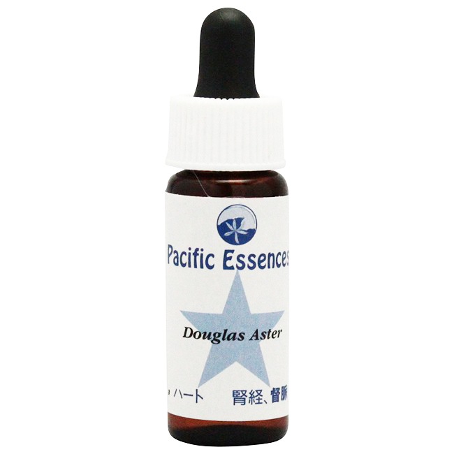 ダグラスアスター[Douglas Aster](7.5ml)