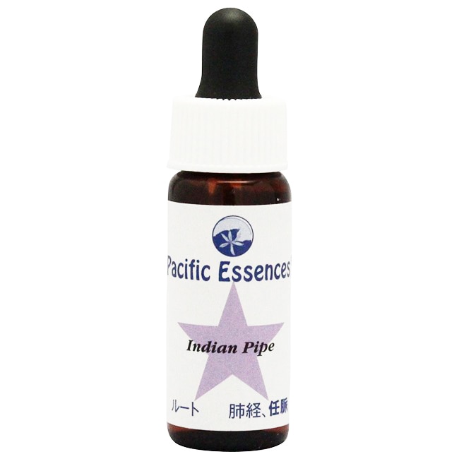 クロップサークルカード全108枚 | ブランド一覧,PHIエッセンス,写真