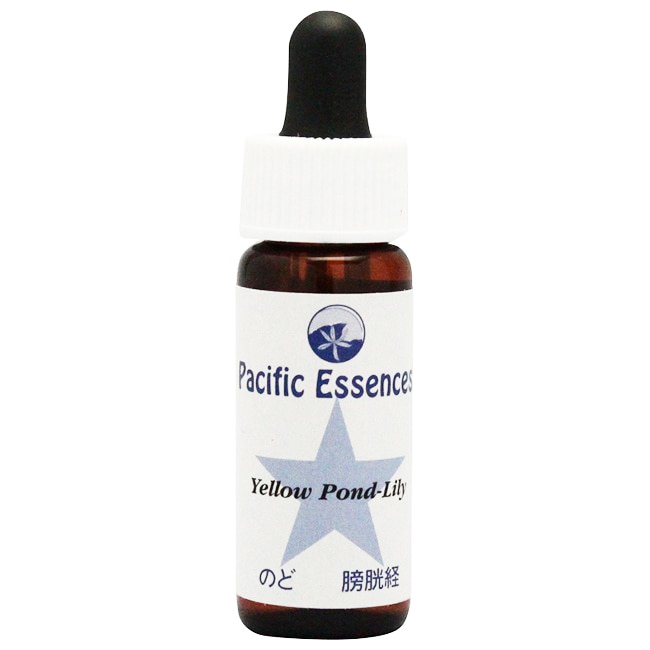 セクシュアリティ[Sexuality]『性』 | ブランド一覧