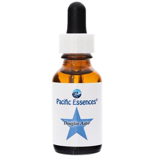ダグラスアスター[Douglas Aster](30ml)