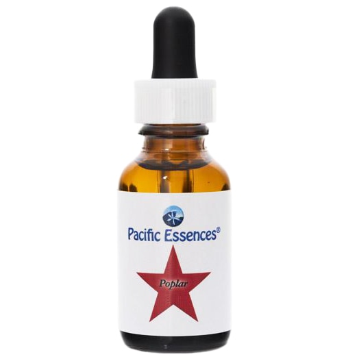 ポプラ[Poplar](30ml)