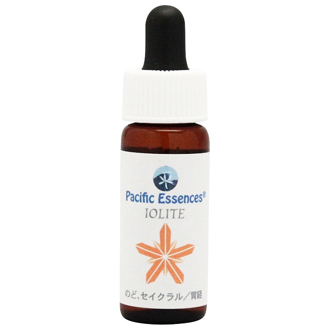 ワンサイデッドウィンターグリーン[One-Sided Wintergreen] | ブランド