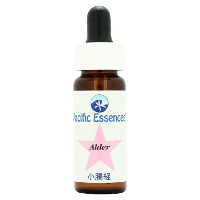 アルダー[Alder]
