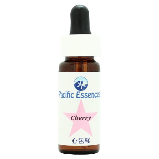 チェリー[Cherry]