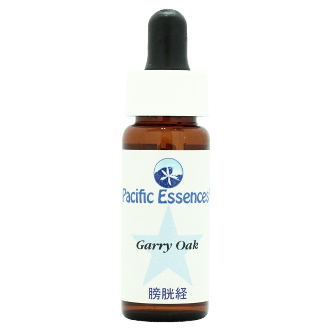 ギャリーオーク[Garry Oak]