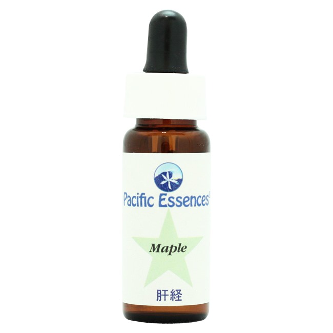 メープル[Maple]