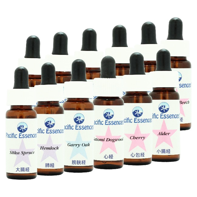 パシフィック7.5ml 1キット購入用