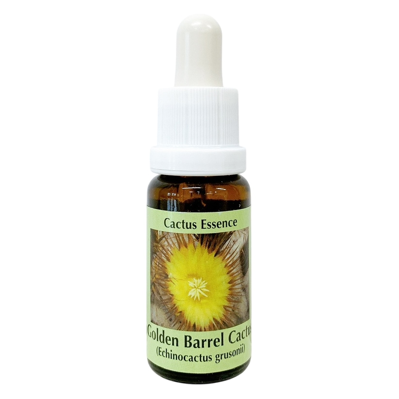 エターナルラブ[Eternal Love]『永遠の愛』 | ブランド一覧,ラブズ